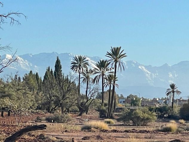 SD1 land for sale in Marrakech - Emile Garcin Maroc