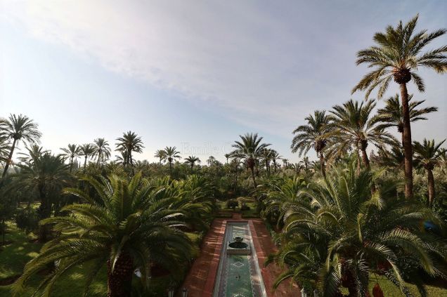 Property of 3600 m² for sale in the Palmeraie district of Marrakech - Emile Garcin Maroc - Image 4