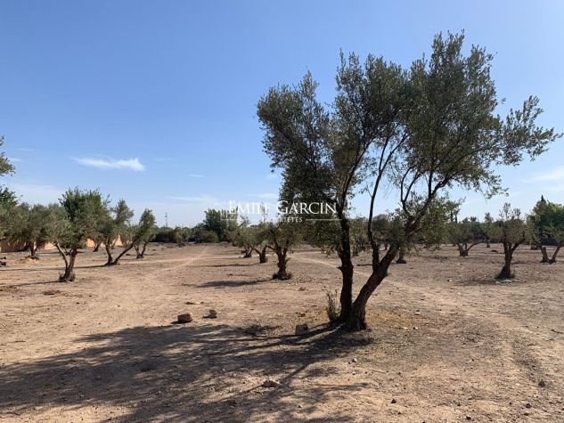 Land for sale in La Palmeraie, Marrakech - Emile Garcin Maroc