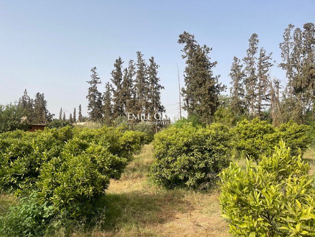 Delightful plot of land for sale in t... - Emile Garcin Maroc