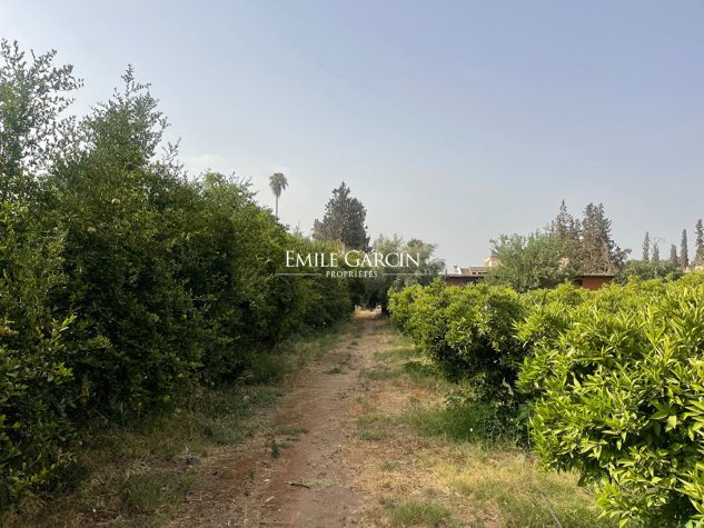 Delightful plot of land for sale in the heart of the Palmeraie district of Marrakech - Emile Garcin Maroc - Image 2