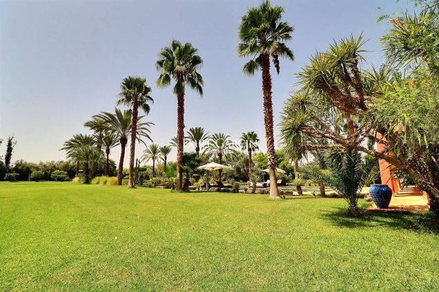 Beautiful property for sale on the Route de Sidi Abdellah Ghiat - Emile Garcin Maroc - Image 6