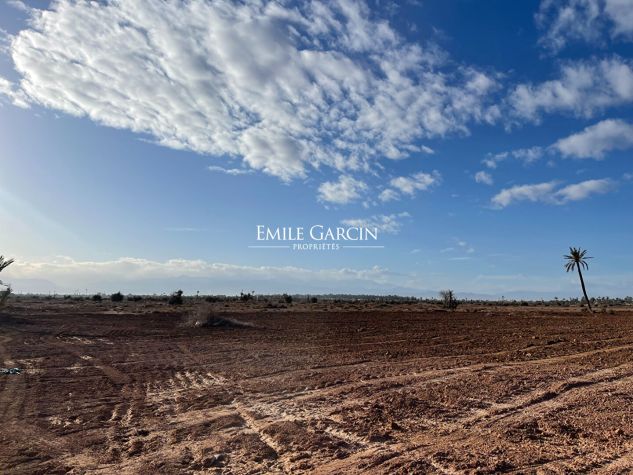 10 hectares of land for sale very clo... - Emile Garcin Maroc