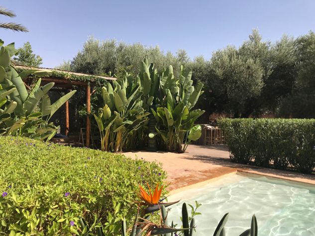 Family house to rent 12km from Marrakech - Emile Garcin Maroc - Image 5