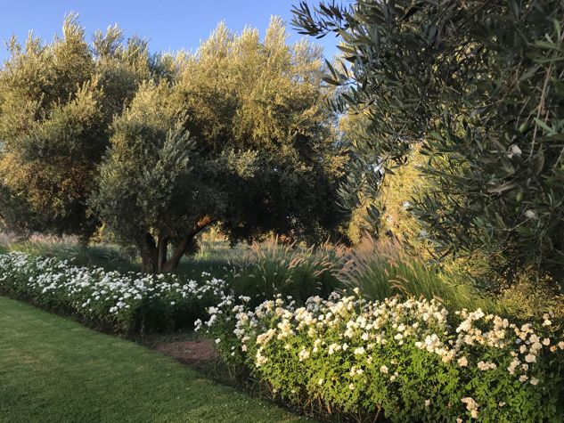 Family house to rent 12km from Marrakech - Emile Garcin Maroc - Image 13