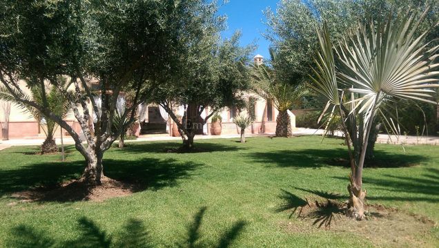 Marrakech: Property to rent in the Palmeraie, 15 minutes from Jemaa El Fna - Emile Garcin Maroc - Image 15