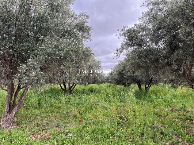 Land for sale in a SD2 zone in Marrakech - Emile Garcin Maroc - Image 1