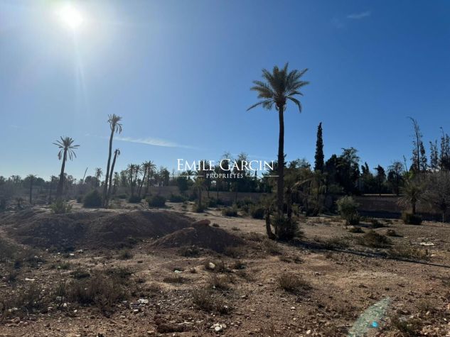 Land for sale in the heart of the Palmeraie district of Marrakech - Emile Garcin Maroc - Image 1