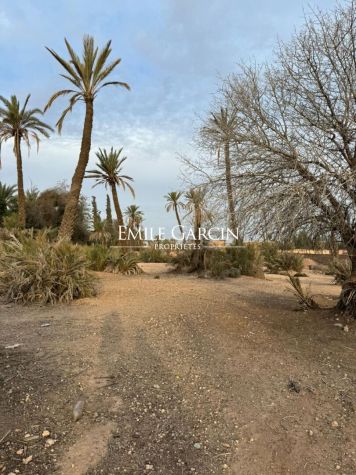 Land for sale in the heart of the Palmeraie district of Marrakech - Emile Garcin Maroc - Image 2