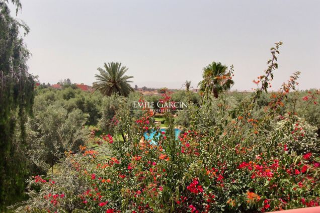  - Emile Garcin Maroc - Image 10