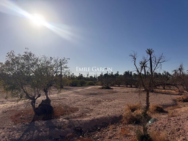 For Sale - Land in the Heart of the Triangle d'or of the Palmeraie- Marrakech - Emile Garcin Maroc - Image 1