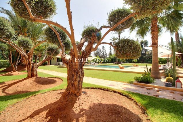 For sale - 20-room hotel - Marrakech - Palmeraie district - Emile Garcin Maroc - Image 1