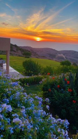 FOR SALE - TANGIER/ASILAH - LARGE OCEANFRONT PROPERTY - GARDEN - Emile Garcin Maroc - Image 4