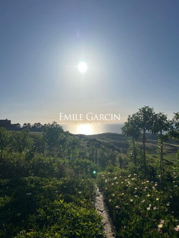 FOR SALE - TANGIER/ASILAH - LARGE OCEANFRONT PROPERTY - GARDEN - Emile Garcin Maroc - Image 8