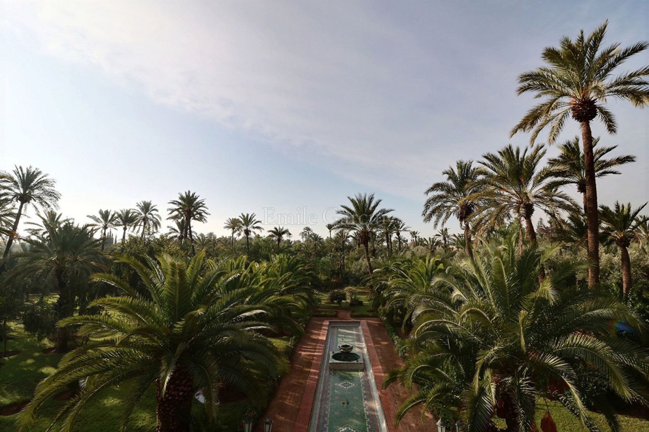 Property of 3600 m² for sale in the Palmeraie district of Marrakech - Emile Garcin Maroc - Image 4