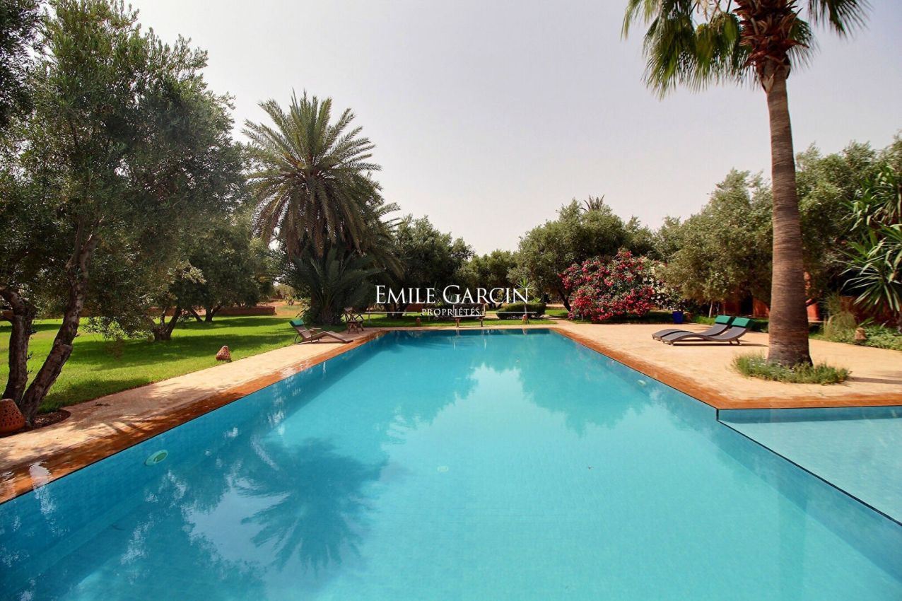  - Emile Garcin Maroc - Image 8