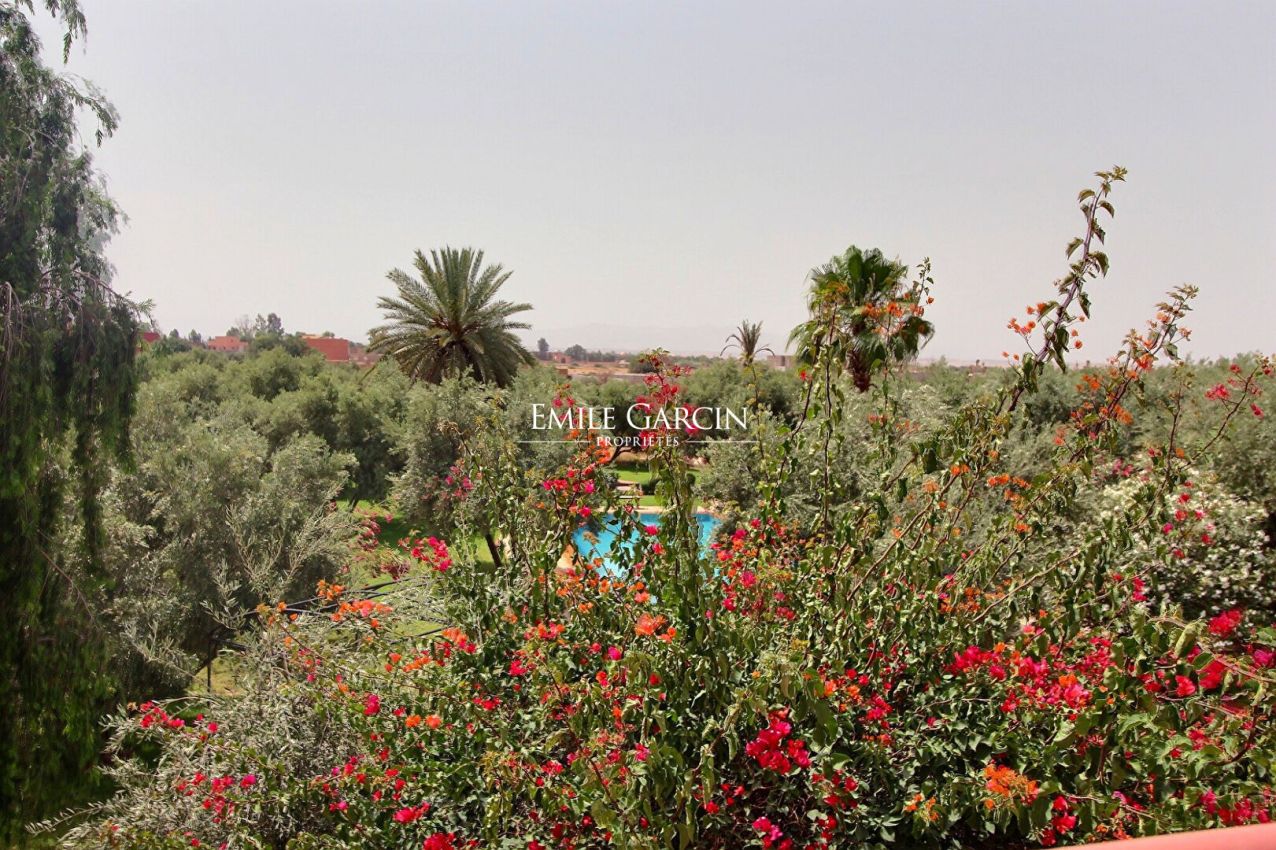  - Emile Garcin Maroc - Image 10