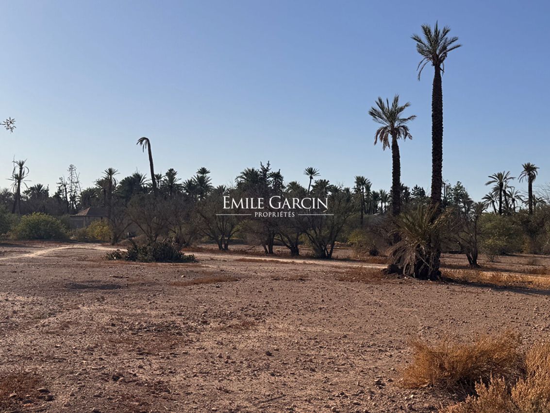For Sale - Land in the Heart of the Triangle d'or of the Palmeraie- Marrakech - Emile Garcin Maroc - Image 2