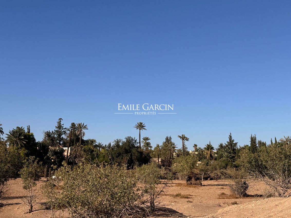 For Sale - Land in the Heart of the Triangle d'or of the Palmeraie- Marrakech - Emile Garcin Maroc - Image 3
