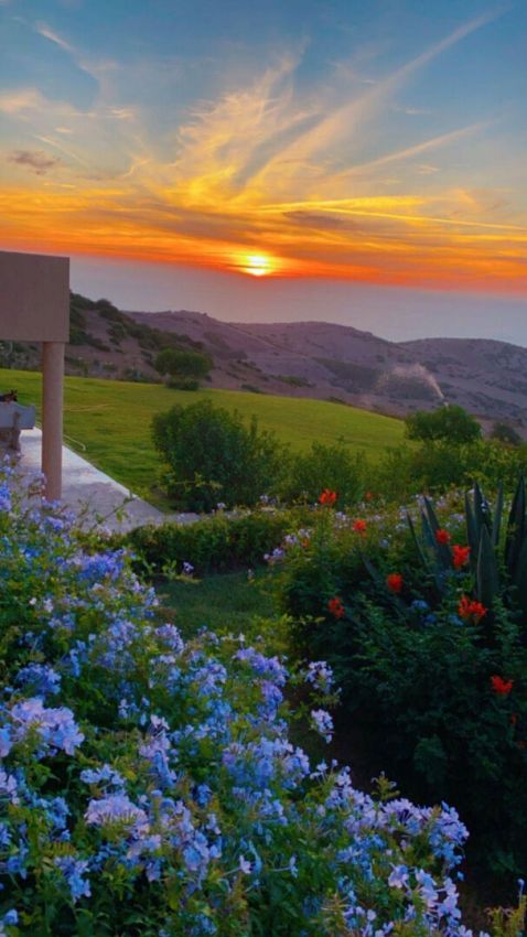 FOR SALE - TANGIER/ASILAH - LARGE OCEANFRONT PROPERTY - GARDEN - Emile Garcin Maroc - Image 4